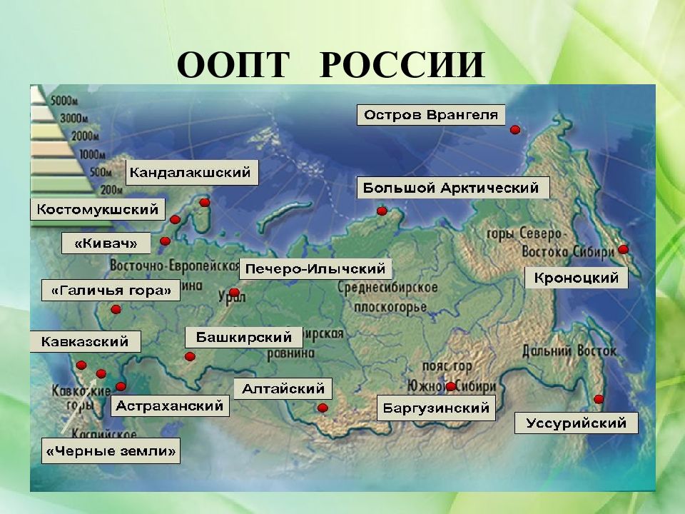 Виртуальная экскурсия по особо охраняемым территориям России.